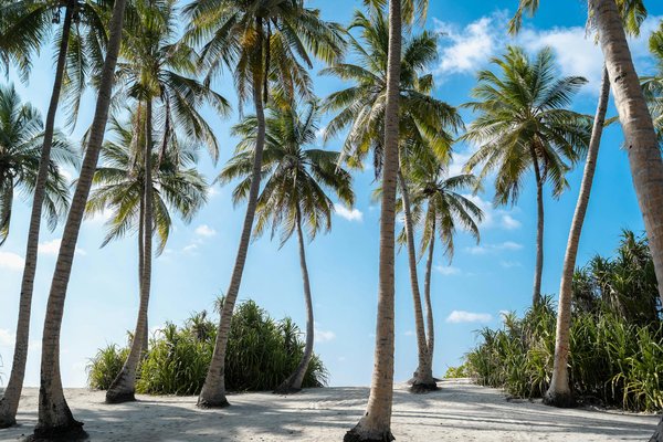 Activités en amoureux le dimanche à Lyon : détente et douceur